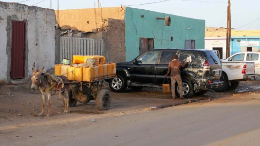 Man Washing SUV next to Donkey Cart in Atar - Mauritania