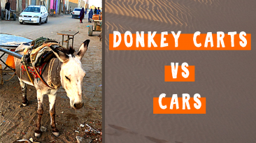 As Many Donkey Carts as Cars in Atar Mauritania