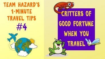 Geckos of Good Fortune - a Traveler's Friend - 1-Minute Travel Tips #4