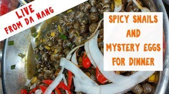Live - Eating Spicy Snails and Mystery Eggs at Son Tra Night Market near the Fire Breathing Dragon Bridge in Da Nang, Vietnam